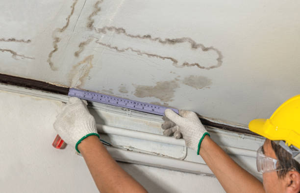 Reliable Mold Remediation contractor in Plymouth, NH by Water Damage Irwin
